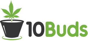 10 Buds