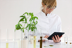 Cannabis CFO services