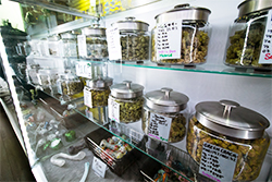cannabis business startup