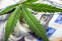 Cannabis 280e Tax services